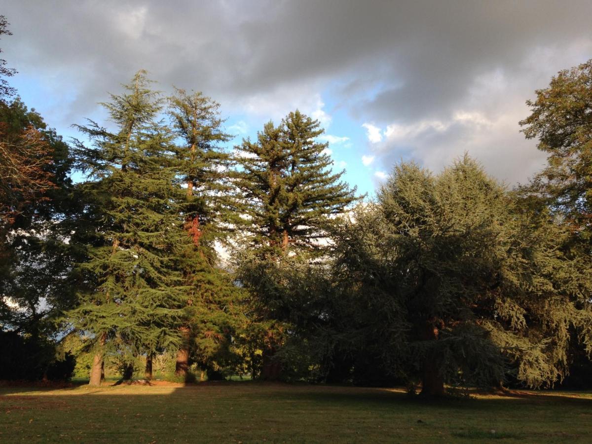 La Sabatiere Villa Bergerac Dış mekan fotoğraf